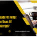 Ultimate Guide On What Are The Uses Of JavaScript?